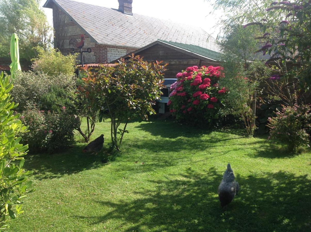 Le Jardin Des Poules Bed & Breakfast Thiétreville Dış mekan fotoğraf